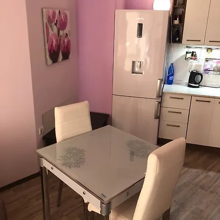 Tatyana Apartment *